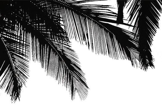 palm-black-left.png