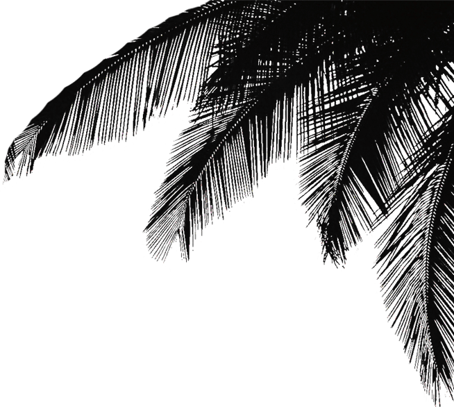 palm-black-right.png