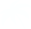 palm-left.png